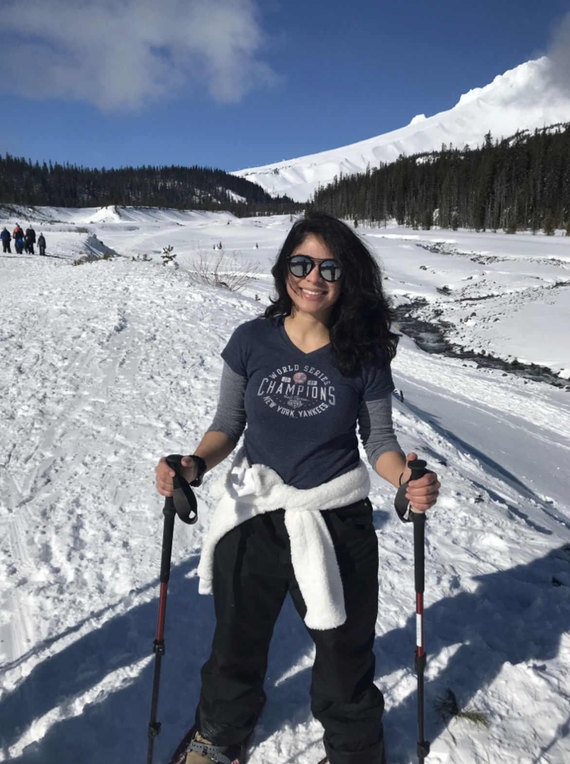 Ari-skiing