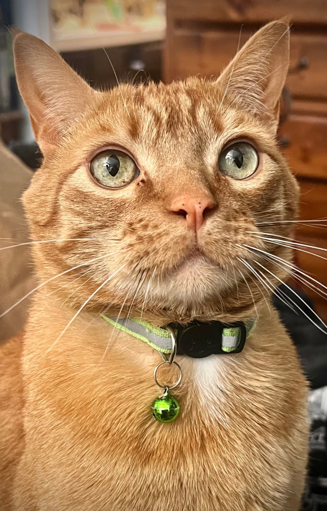 Japanese students visit Yakima