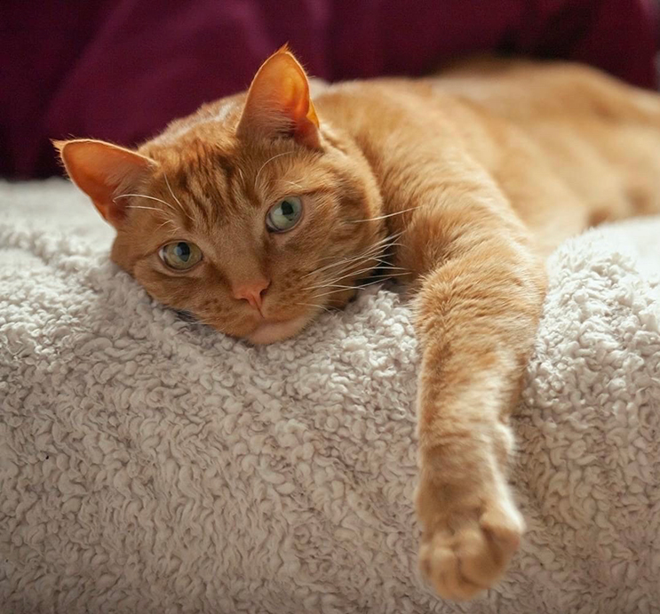 Japanese students visit Yakima