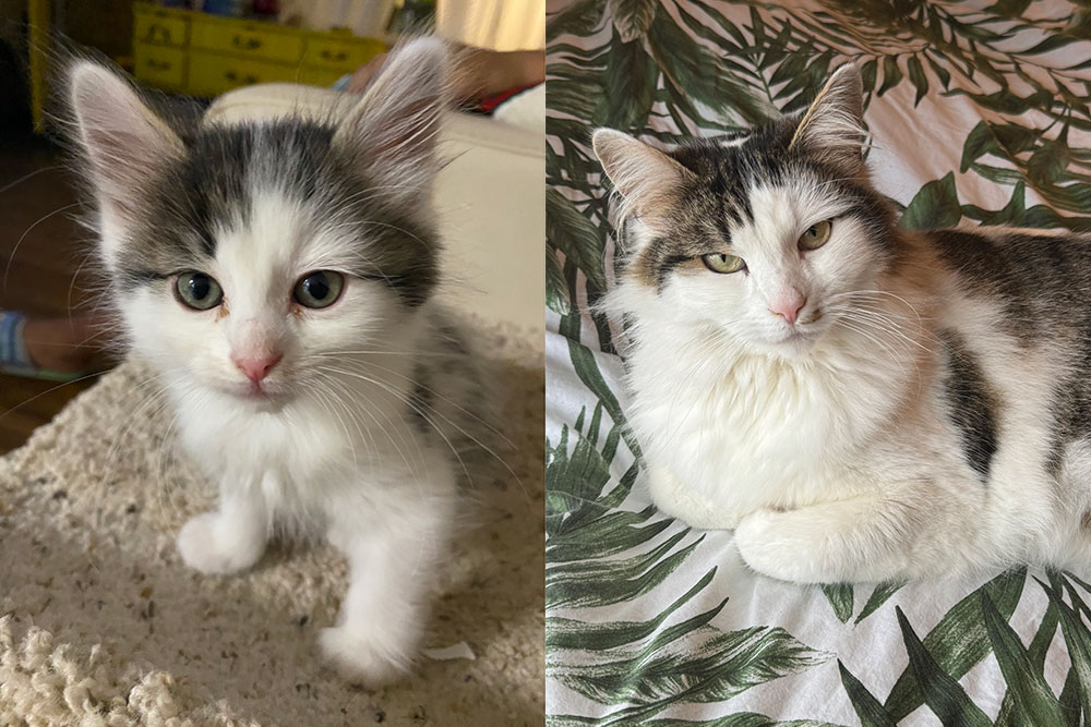 Japanese students visit Yakima